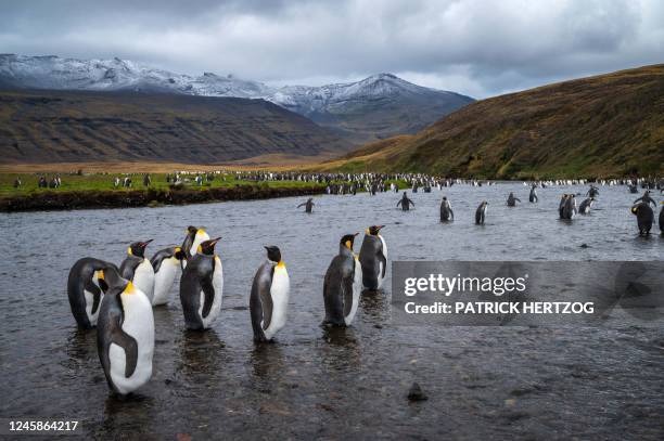 618 Possession Islands Photos & High Res Pictures Getty Images