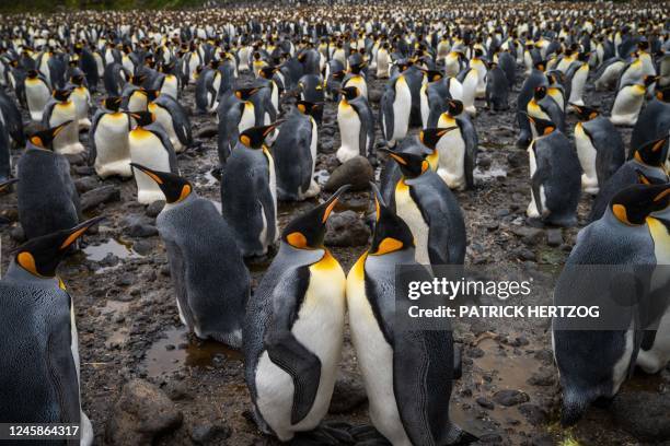 618 Possession Islands Photos & High Res Pictures Getty Images