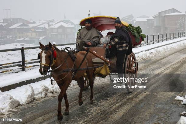 People carry vegetables and other food items as they board a horse driven carriage after fresh snowfall in sopore District Baramulla Jammu and...