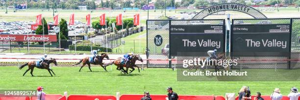 Dance To Dubai ridden by Carleen Hefel wins the Raymond Martin Handicap at Moonee Valley Racecourse on December 31, 2022 in Moonee Ponds, Australia.