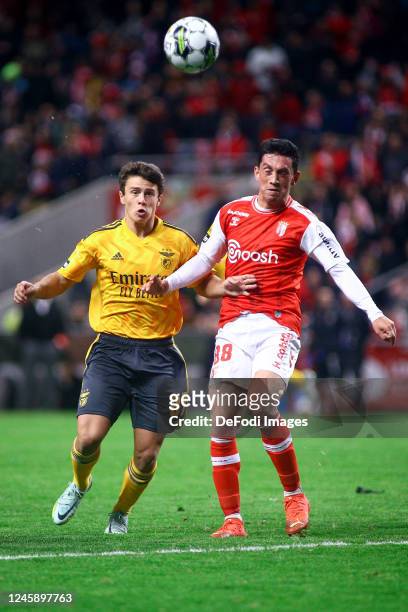 Joao Neves of SL Benfica and Andre Castro of SC Braga battle for the ball during the Liga Portugal Bwin match between Sporting Braga and SL Benfica...