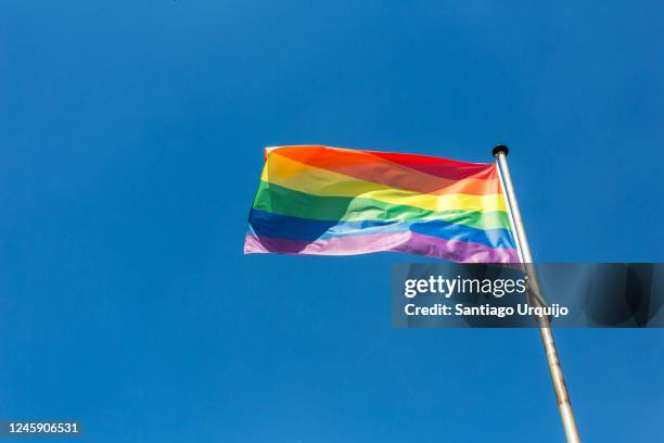 rainbow flag - regenbogenfahne stock-fotos und bilder