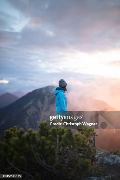 bayerische alpen - herzogstand - zugspitze mountain stock pictures, royalty-free photos & images