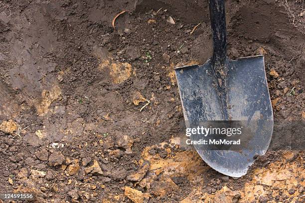 close-up of spade shovel being used to dig a hole in soil - digging hole stock pictures, royalty-free photos & images