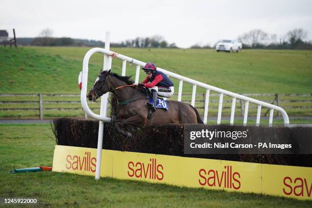 Tramore Racing 263 Tramore Racecourse Stock Photos, High-Res Pictures, and Images ...