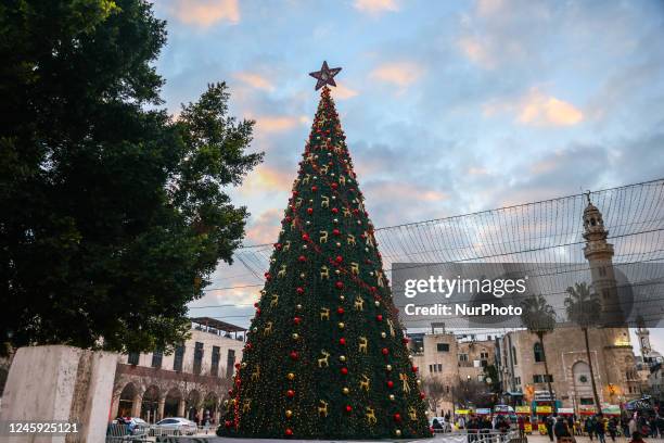 Manager Square 2,544 Manger Square Stock Photos, High-Res Pictures, and Images - Getty ...