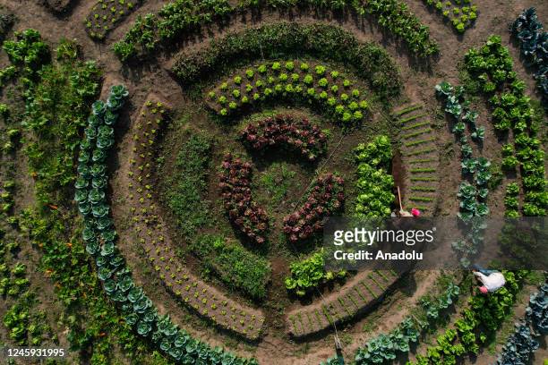 An aerial view of an orchard at the National Park of Agricultural Culture in Quimbaya, Quindio, Colombia, on December 13, 2022. The park created in...