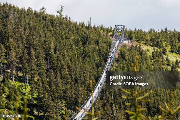 View of the Sky Bridge 721 in Dolni Morava, one of the world's longest suspension footbridges. The bridge structure is 721 meters long and is...