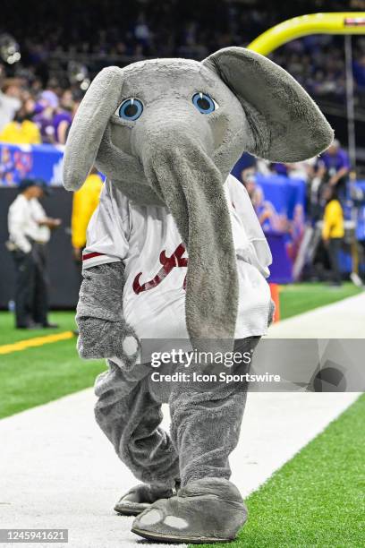 Alabama mascot "Big Al" revs up the crowd during a timeout during the Sugar Bowl between the Alabama Crimson Tide and Kansas State Wildcats at...