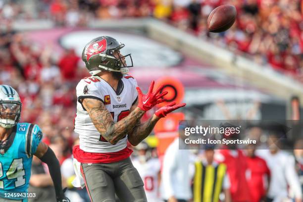 Tampa Bay Buccaneers wide receiver Mike Evans hauls in a long pass for a touchdown during the regular season game between the Carolina Panthers and...