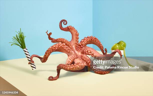 Balanced Diet Octopus