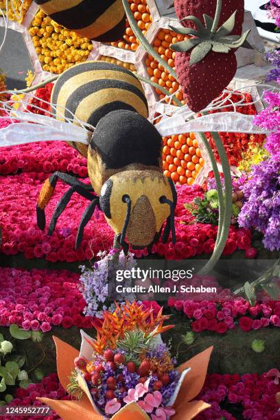 Pasadena, CA A float driver peeks his head out from underneath a large bee and between flower beds while steering the Downey Rose Float Association...