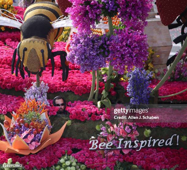 Pasadena, CA A float driver peeks his head out from underneath a large bee and between flower beds while steering the Downey Rose Float Association...