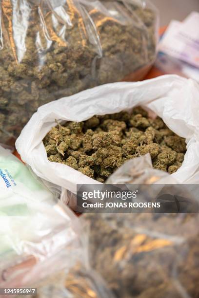 Illustration picture shows cannabis and hashish among other confiscated materials, at the FGP Oost-Vlaanderen offices, in Ghent, Tuesday 03 January...