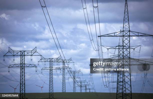 27 Groß Schwiesow Stock Photos, HighRes Pictures, and Images Getty