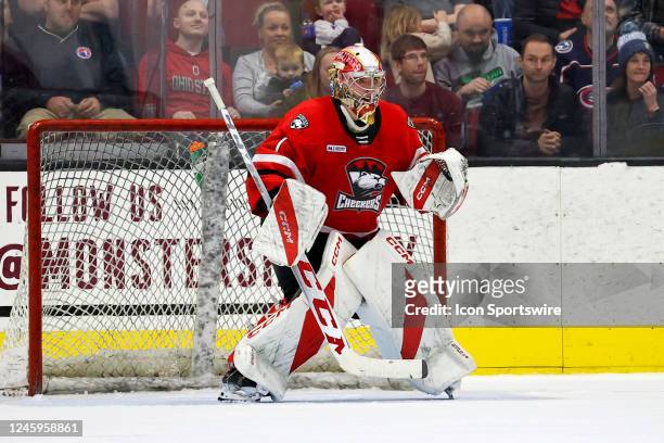 Charlotte Checkers goalie Mack Guzda in goal during the third period of the American Hockey League game between the Charlotte Checkers and Cleveland...