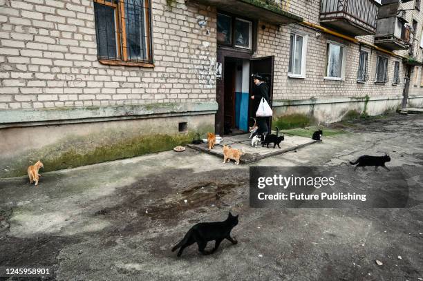 Former school secretary Liubov Yevhenivna takes care of 13 cats she has sheltered after the start of the war in the city of Orikhiv that is being...