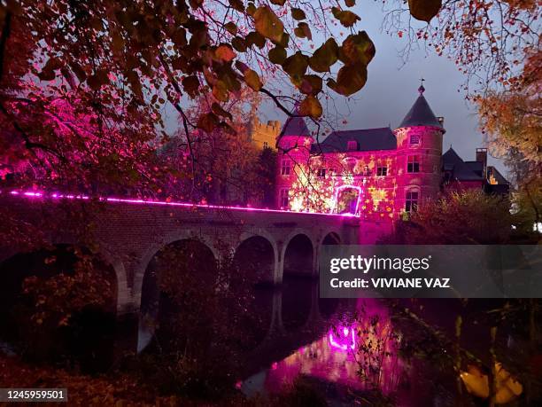 This picture taken on 15 November 2022 and distributed on Tuesday 15 November 2022 shows the illuminated entry to the grounds of the 'Kasteel van...