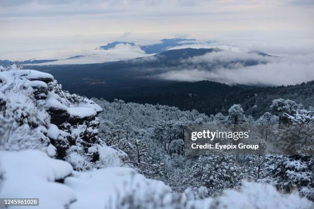 People took advantage of the first snowfall of the year due to cold front number 19, despite the low temperatures of 3 degrees below zero, to enjoy...