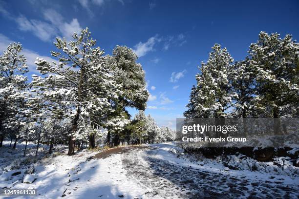 People took advantage of the first snowfall of the year due to cold front number 19, despite the low temperatures of 3 degrees below zero, to enjoy...