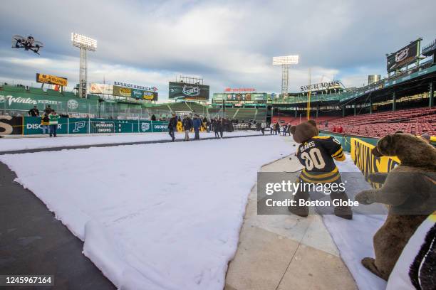 Boston, MA Boston Bruins mascot Blades poses for a drone flyby on Winter Classic practice day.