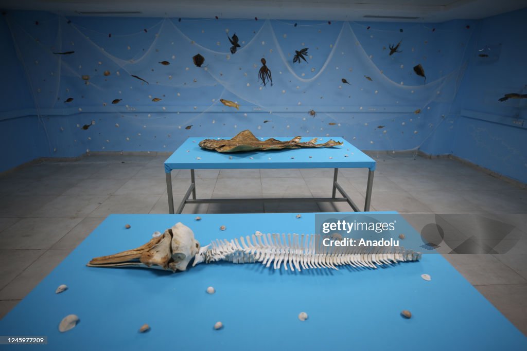 Mummification Fish Fish skeletons and aquaculture mummies are seen in the underwater ...
