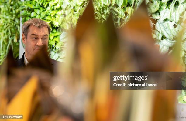 January 2023, Bavaria, Munich: Markus Söder, Prime Minister of Bavaria, receives the carol singers from the Bodenmais-Böbrach parish community of the...