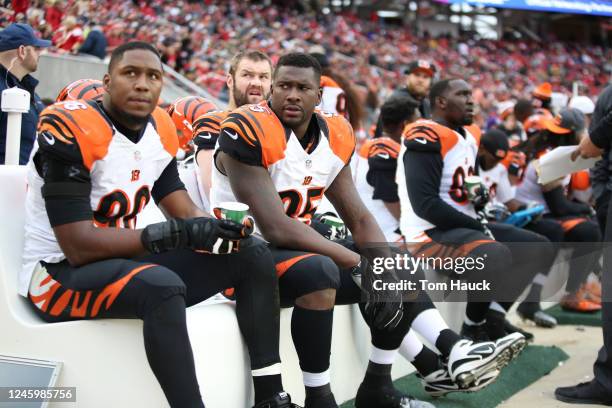 Cincinnati Bengals defensive end Wallace Gilberry in action during an NFL football game between the San Francisco 49ers and the Cincinnati Bengals...