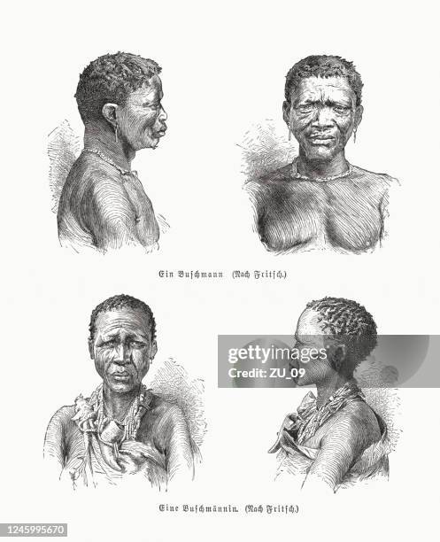 illustrations, cliparts, dessins animés et icônes de san people (afrique australe), gravures sur bois, publié en 1891 - khoikhoi women