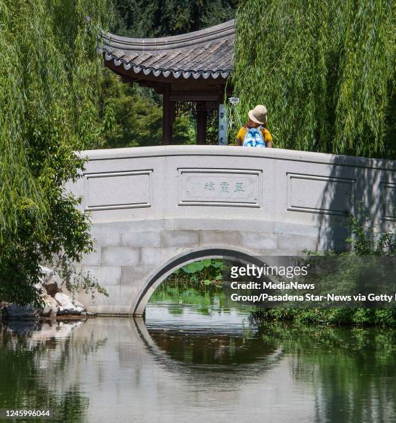 May 02: A woman takes a selfie on a bridge in the Garden of Flowing Fragrance or Chinese Gardens at the Botanical Gardens at Huntington Library in...