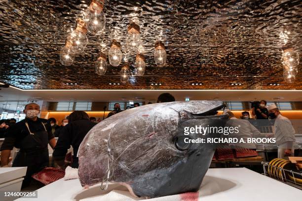 The head of a bluefin tuna - which was purchased earlier in the day for over 270,000 USD at the first tuna auction of the New Year - sits on a...