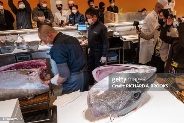 Member of staff carves up a bluefin tuna - which was purchased earlier in the day for over 270,000 USD at the first tuna auction of the New Year - at...