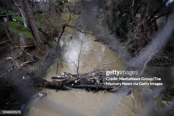 January 04: River debris gathers against a fallen tree in Coyote Creek near the homeless encampment by Tully Road in San Jose, Calif., on Jan. 4,...