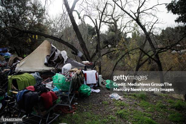 January 04: Clusters of tents belonging to homeless residents line the banks of Coyote Creek near Tully Road on Wednesday, Jan. 4 in San Jose, Calif....