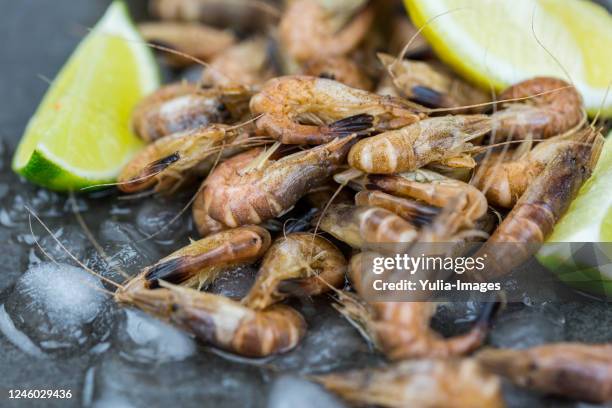 still life of fresh raw shrimp seafood on gray surface - north sea market stock pictures, royalty-free photos & images