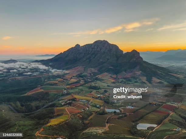 mooie landelijke scène van de bergde herfst bij dageraad - stellenbosch stockfoto's en -beelden