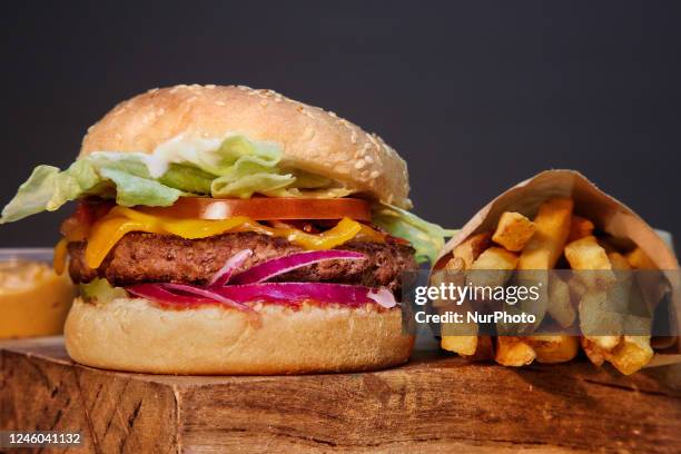 Hamburger and fries in Toronto, Ontario, Canada, on January 05, 2023.