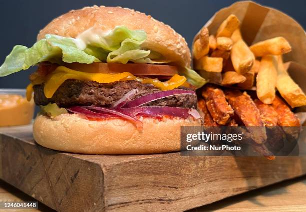 Hamburger with regular and spicy fries in Toronto, Ontario, Canada, on January 05, 2023.