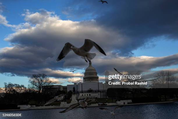 Birds fly over the reflecting pool in front of the U.S. Capitol Building. Today marks the second anniversary of the January 6th riot at the U.S....