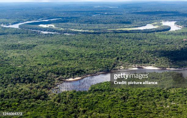 January 2023, Brazil, Manaus: A river meanders through the Amazon rainforest, photographed from a water plane. The world's largest tropical...