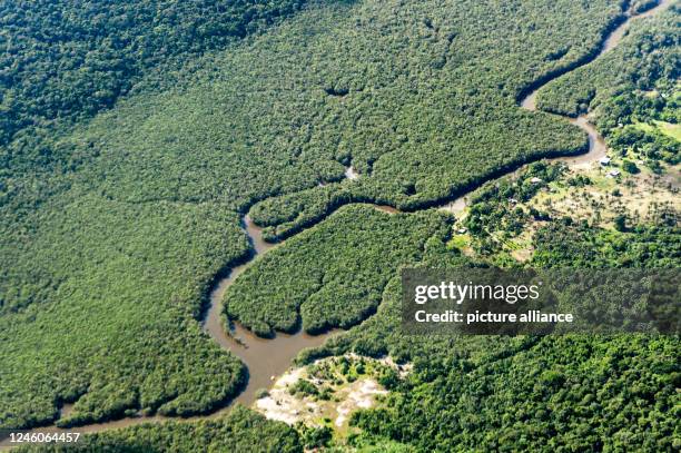 January 2023, Brazil, Manaus: A small river meanders through the Amazon rainforest. The world's largest tropical rainforest is crisscrossed by...