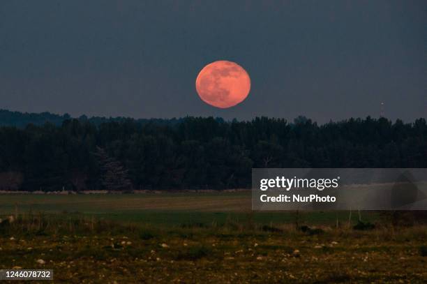 Full Wolf Moon just emerged from the Castel del Monte hill in Andria on January 7, 2023. The spectacular Full Moon of the Wolf shone in the sky, the...