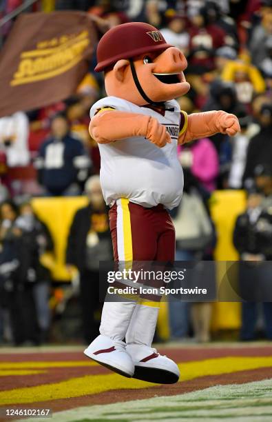 380 Hog Mascot Stock Photos High Res Pictures And Images Getty Images 380-hog-mascot-stock-photos-high-res-pictures-and-images-getty-images