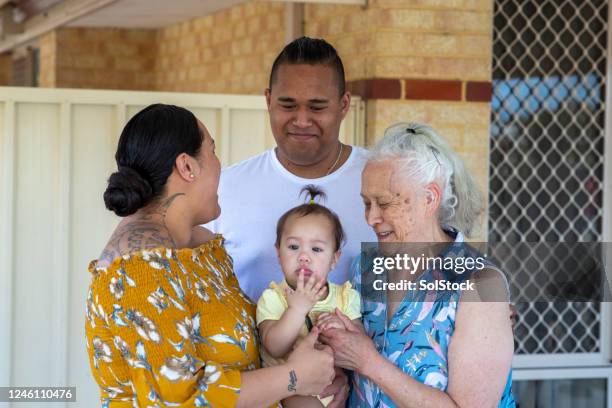 happy family portrait - insulano do pacífico imagens e fotografias de stock