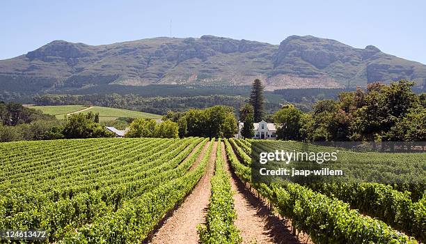 panoramic view of a winery in south africa - capetown south africa stock pictures, royalty-free photos & images