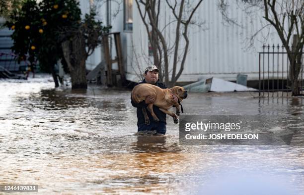 Local resident Fidel Osorio rescues a dog from a flooded home in Merced, California, on January 10, 2023. - Relentless storms were ravaging...