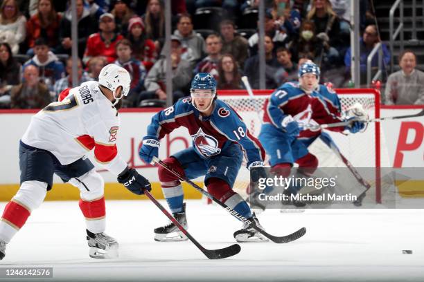 Alex Newhook of the Colorado Avalanche defends against Radko Gudas of the Florida Panthers at Ball Arena on January 10, 2023 in Denver, Colorado.