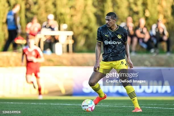 Sebastien Haller of Borussia Dortmund controls the Ball during the friendly match between Borussia Dortmund and Fortuna Düsseldorf on January 10,...