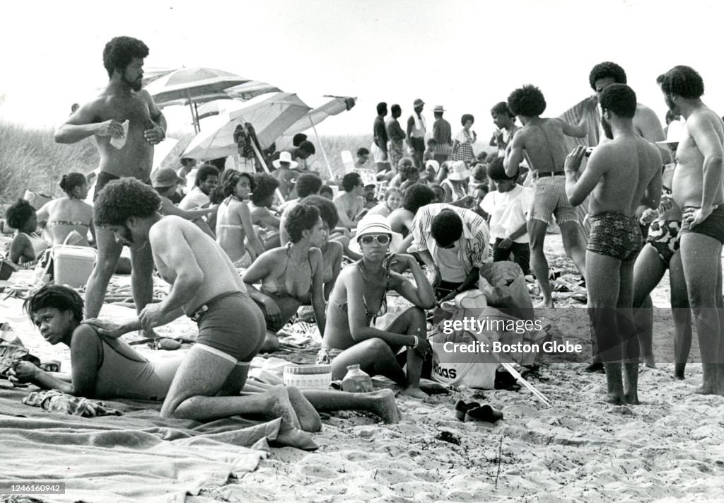 Summer Scene At Oak Bluffs