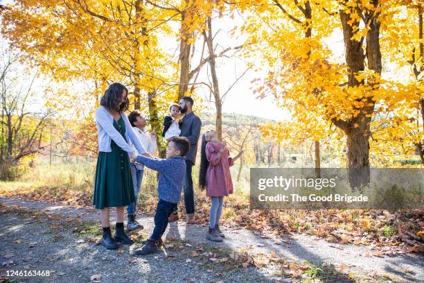 family walking on country road in autumn - familie mit vier kindern stock-fotos und bilder